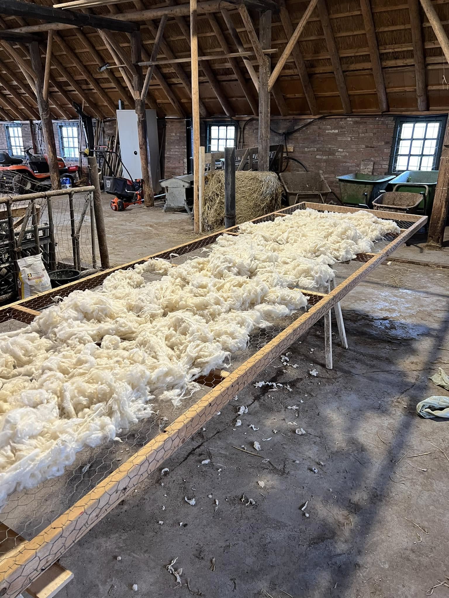 Groningse Merino Ruwe Wol