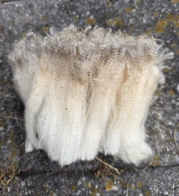 Friese Merino Ruwe Wol