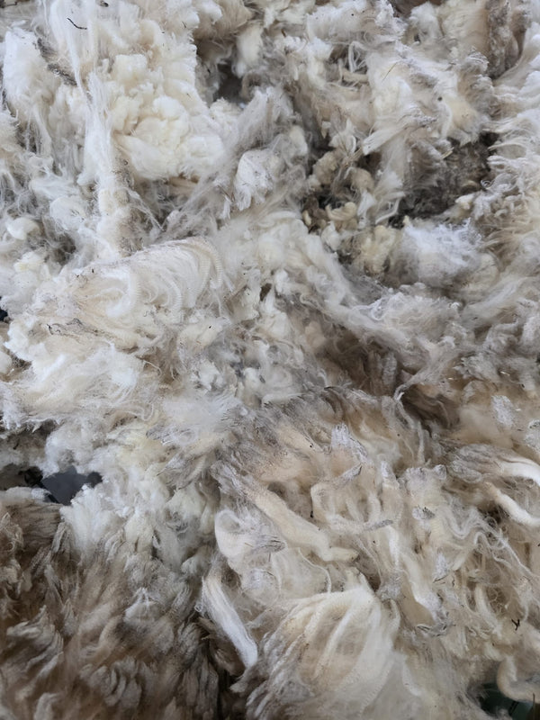 Wolpellets Merino