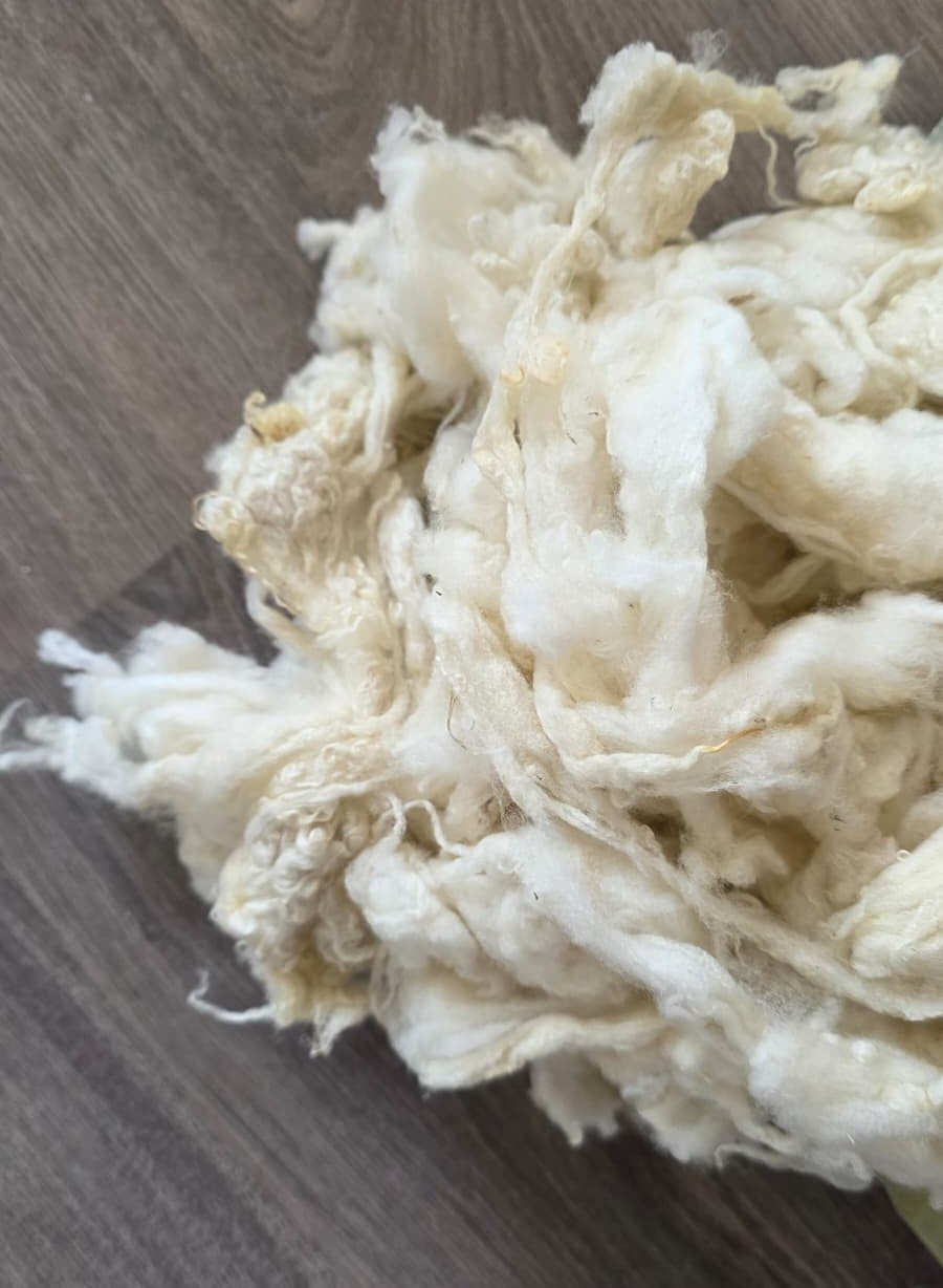 Groningse Merino Ruwe Wol