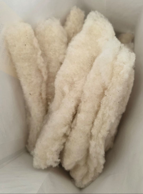 Friese Southdown Babydoll Ruwe Wol