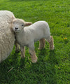 Friese Southdown Babydoll Ruwe Wol